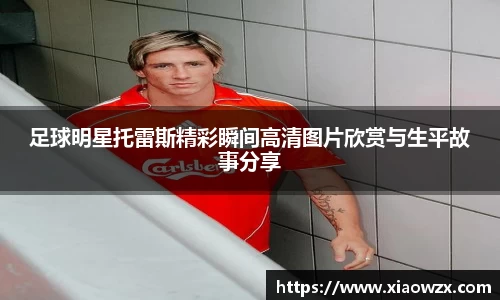足球明星托雷斯精彩瞬间高清图片欣赏与生平故事分享