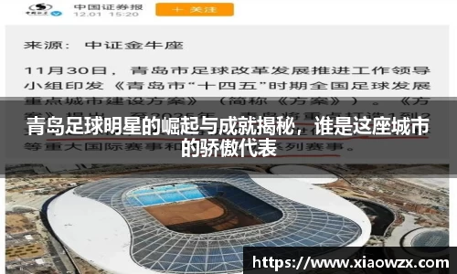 青岛足球明星的崛起与成就揭秘，谁是这座城市的骄傲代表